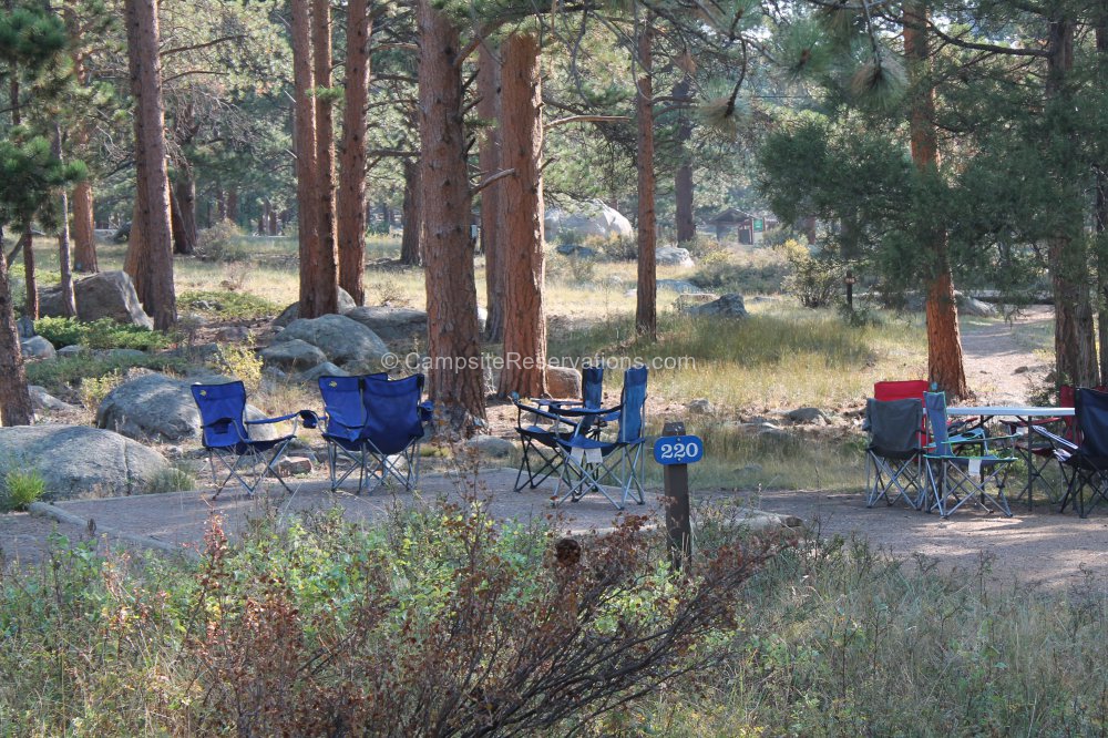 Photo of Campsite 220 in Moraine Park Campground at Rocky Mountain